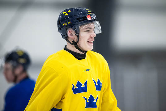 Anton Wahlberg of the Swedish under-20 national ice hockey