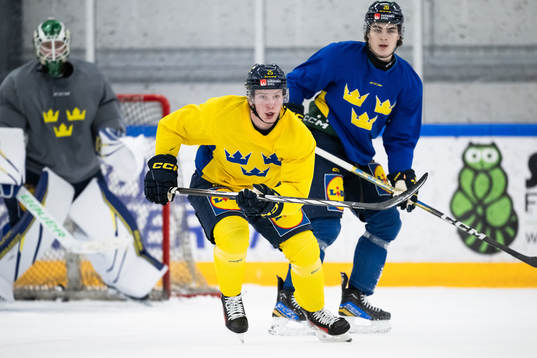 Otto Stenberg of the Swedish under-20 national ice hockey