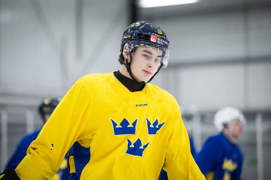 Felix Unger Sörum of the Swedish under-20 national ice