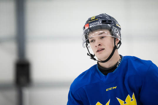 Fabian Wagner of the Swedish under-20 national ice hockey