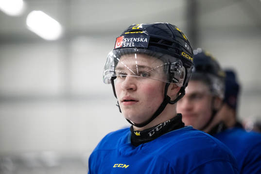 Zeb Forsfjäll of the Swedish under-20 national ice hockey