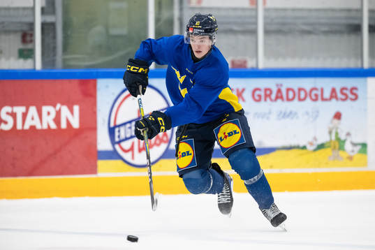 Fabian Wagner of the Swedish under-20 national ice hockey