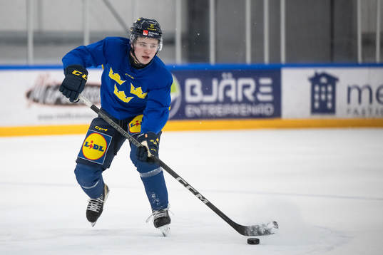 Zeb Forsfjäll of the Swedish under-20 national ice hockey
