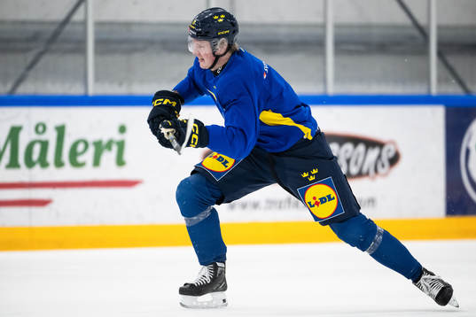 Filip Bystedt of the Swedish under-20 national ice hockey
