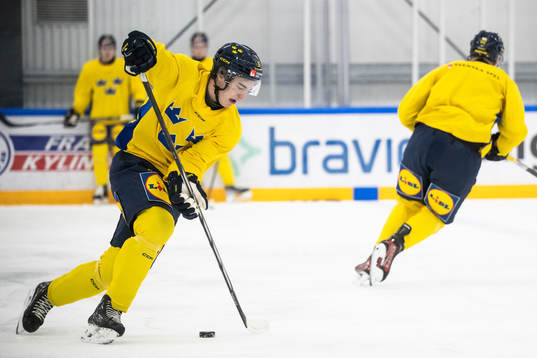 David Edstrom of the Swedish under-20 national ice hockey