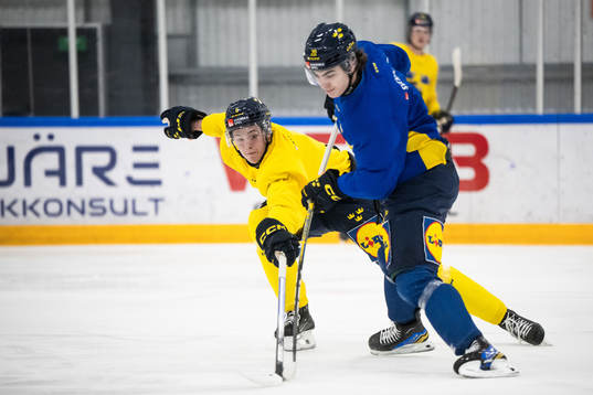 Mattias Hävelid and Liam Öhgren of the Swedish under-20