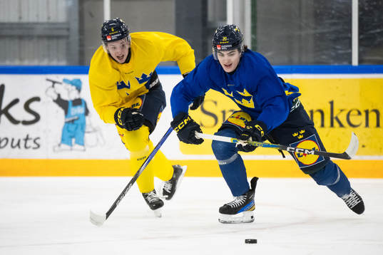 Mattias Hävelid and Liam Öhgren of the Swedish under-20