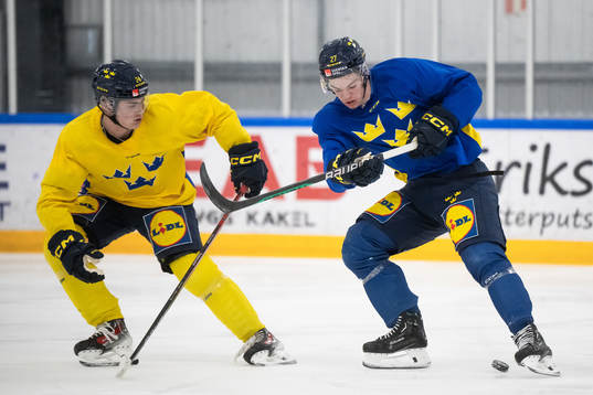 Tom Willander and Oskar Pettersson of the Swedish under-20
