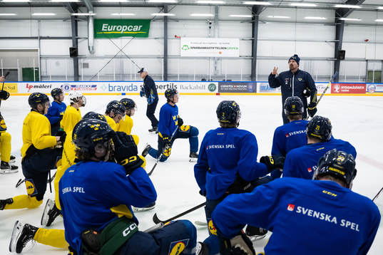 Assistant coach Gereon Dahlgren of the Swedish under-20