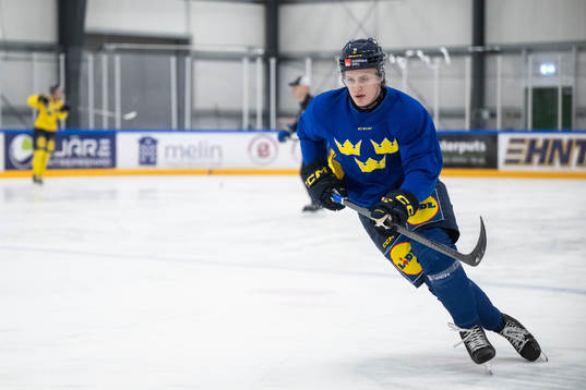 Elias Pettersson of the Swedish under-20 national ice
