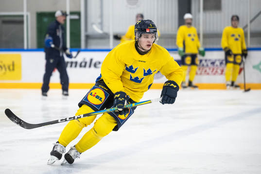 Mattias Hävelid of the Swedish under-20 national ice