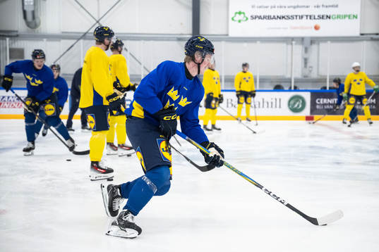 Filip Bystedt of the Swedish under-20 national ice hockey