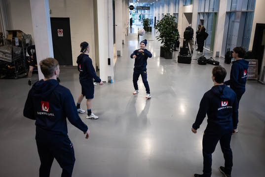 Players of the Swedish under-20 national ice hockey team
