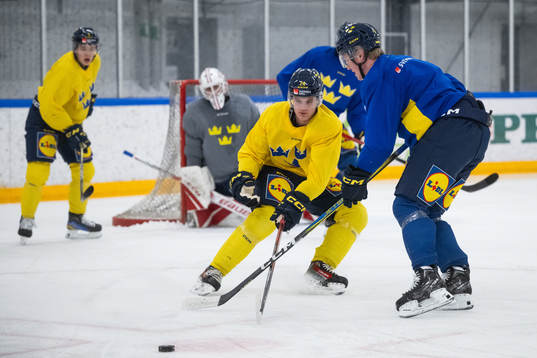 Tom Willander of the Swedish under-20 national ice hockey