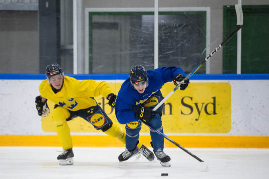 Anton Johansson and Liam Öhgren of the Swedish under-20