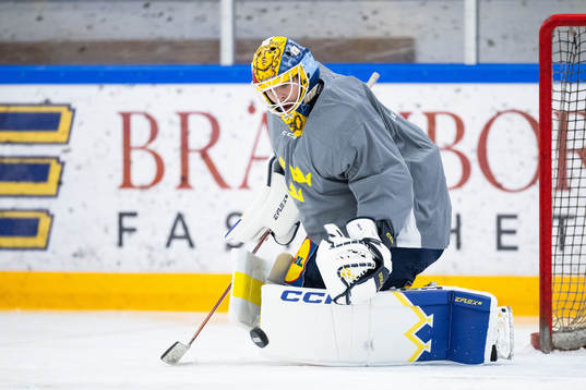Goaltender Hugo Hävelid of the Swedish under-20 national