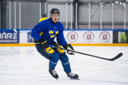 Elias Pettersson of the Swedish under-20 national ice