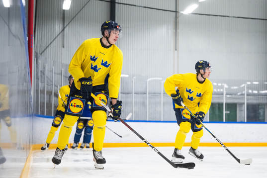 Anton Wahlberg of the Swedish under-20 national ice hockey