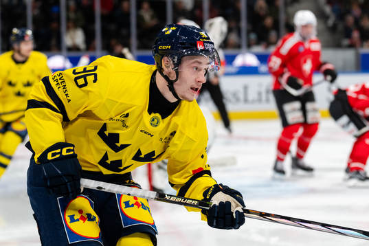 Pontus Andreasson of Sweden in the ice hockey game between