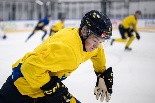 Fabian Wagner of the Swedish under-20 national ice hockey