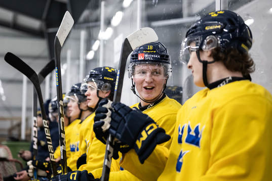 Filip Bystedt of the Swedish under-20 national ice hockey
