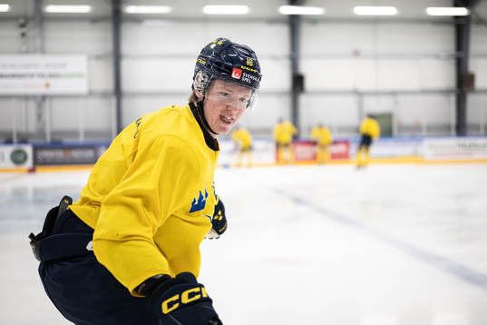 Filip Bystedt of the Swedish under-20 national ice hockey