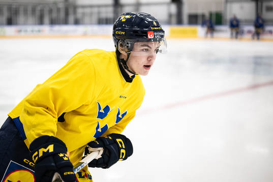 Axel Sandin-Pellikka of the Swedish under-20 national ice