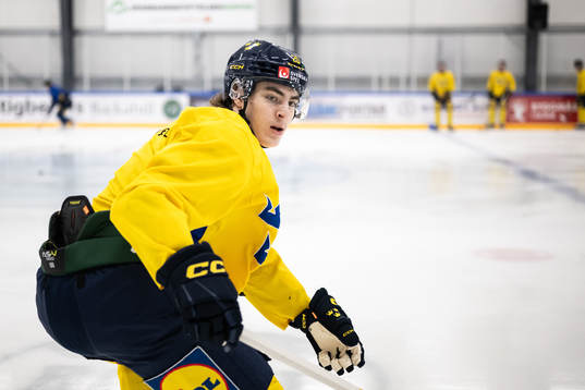 Liam Öhgren of the Swedish under-20 national ice hockey