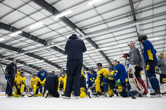 The players of the Swedish under-20 national ice hockey team