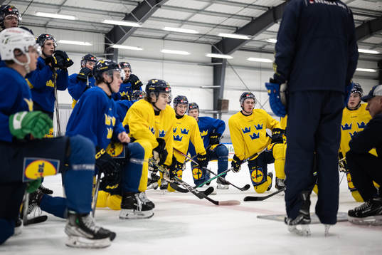 The players of the Swedish under-20 national ice hockey team
