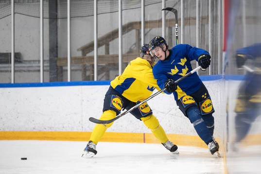 Mattias Hävelid and Jonathan Lekkerimäki of the Swedish