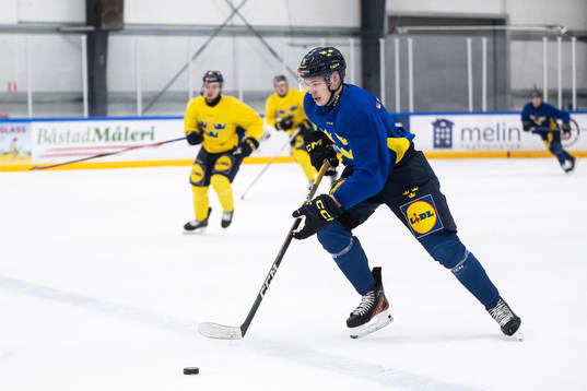 Anton Wahlberg of the Swedish under-20 national ice hockey