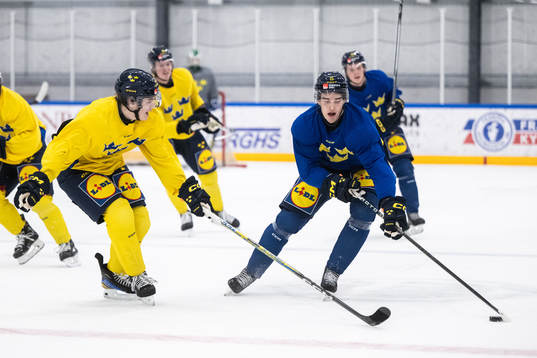 Axel Sandin-Pellikka and David Edstrom of the Swedish
