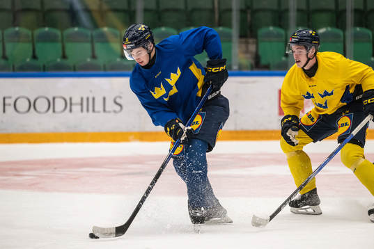 Felix Unger Sörum and Anton Johansson of the Swedish
