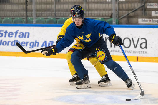 Felix Unger Sörum of the Swedish under-20 national ice