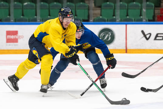 Oskar Pettersson and Axel Sandin-Pellikka of the Swedish
