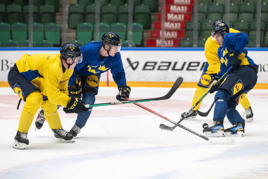 Zeb Forsfjäll, Tom Willander and Mattias Hävelid of the
