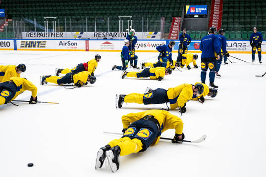 Players of the Swedish under-20 national ice hockey team