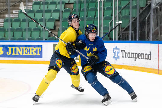 Anton Johansson and Rasmus Rudslätt of the Swedish