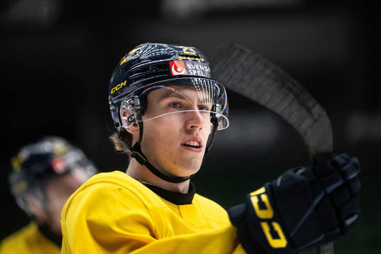 Jonathan Lekkerimäki of the Swedish under-20 national ice