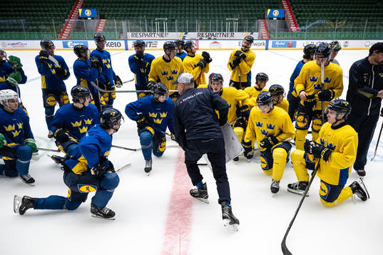 The players of the Swedish under-20 national ice hockey team