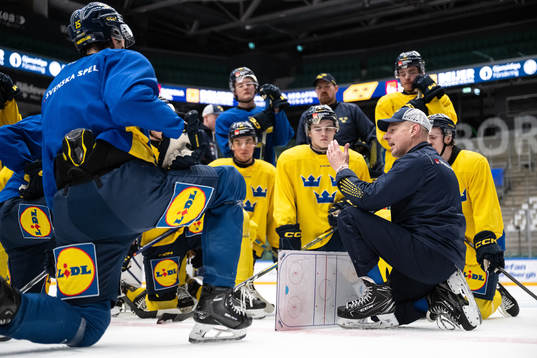 Head coach Magnus Hävelid of the Swedish under-20 national