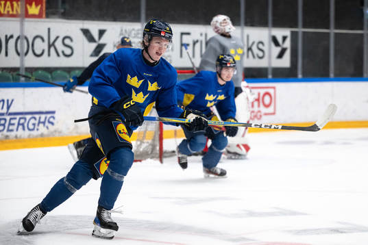 Filip Bystedt of the Swedish under-20 national ice hockey