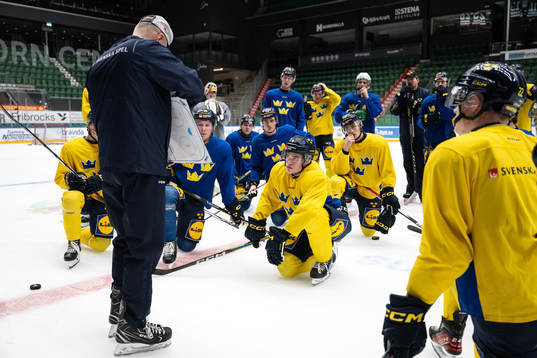 Players of the Swedish under-20 national ice hockey team