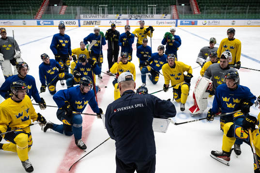 Players of the Swedish under-20 national ice hockey team