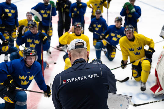 Players of the Swedish under-20 national ice hockey team
