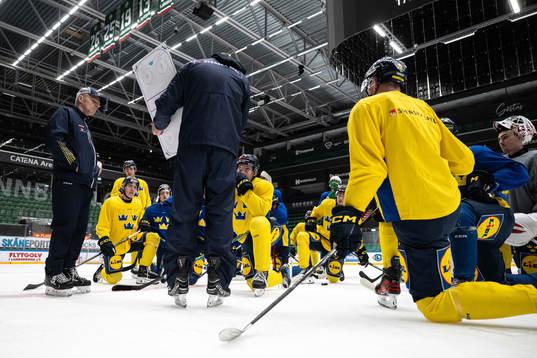 Players of the Swedish under-20 national ice hockey team