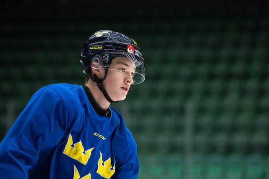 Fabian Wagner of the Swedish under-20 national ice hockey