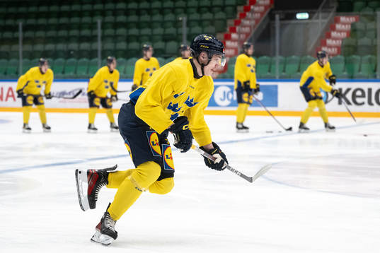 Anton Wahlberg of the Swedish under-20 national ice hockey