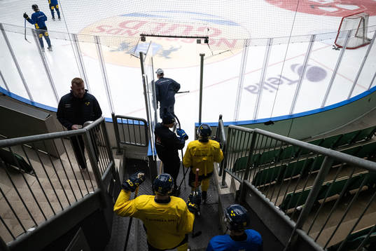 Players of the Swedish under-20 national ice hockey team